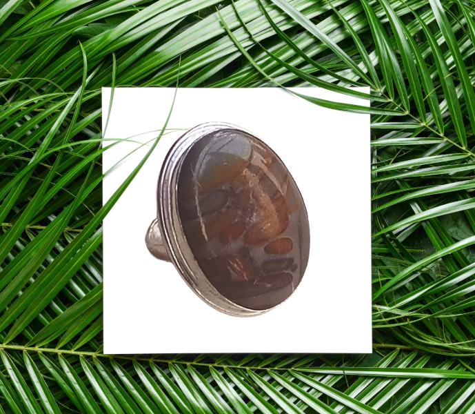 Stylish Picture Jasper stone Ring for Men – Silver Plated GS Handmade Charming Ring