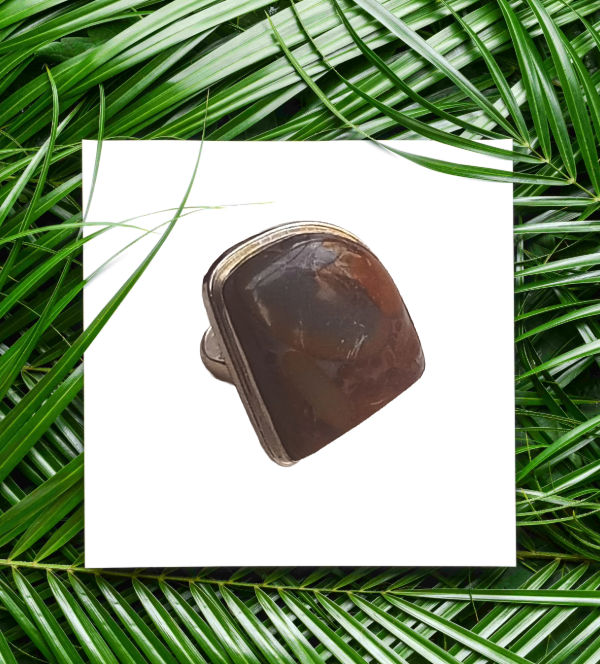 Charming Picture Jasper stone Ring for Men – Silver Plated GS Handmade Stylish Ring
