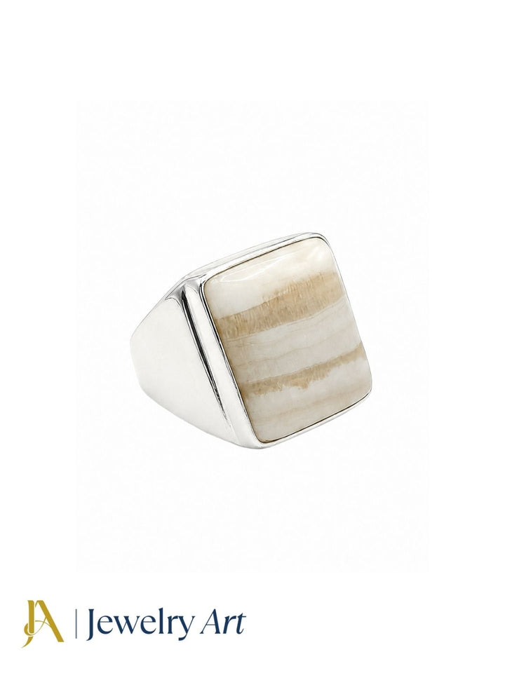 Silver plated GS men's Jasper gemstone ring with handcrafted artisan design, statement jewelry isolated on a pure white background with sharp product details.
