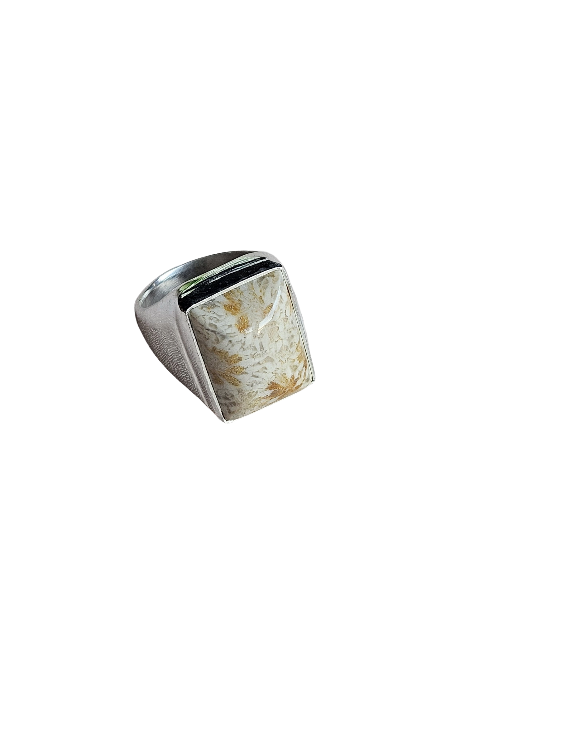 Artisan Fossil Coral Gemstone Ring – Silver Plated GS Ring for Men