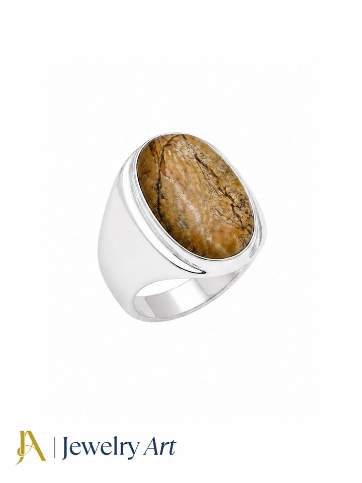 Luxury handcrafted Picture Jasper gemstone ring for men featuring a silver plated GS setting and a natural gemstone, displayed on a pure white background.
